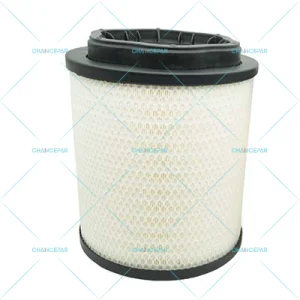 1010020-Air filter-2414656