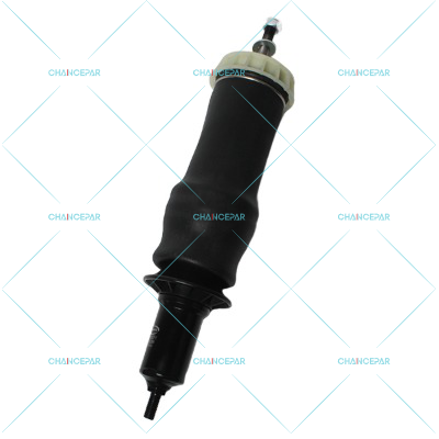 4040050-Shock absorber-2418871