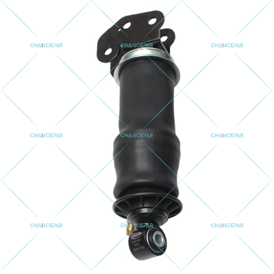 4040070-Shock absorber-5010615879