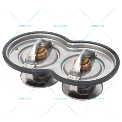 Thermostat, with gasket, 75C-80C